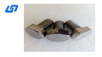 ALTIGEN BAŞLI TİTANYUM CIVATALAR DIN933